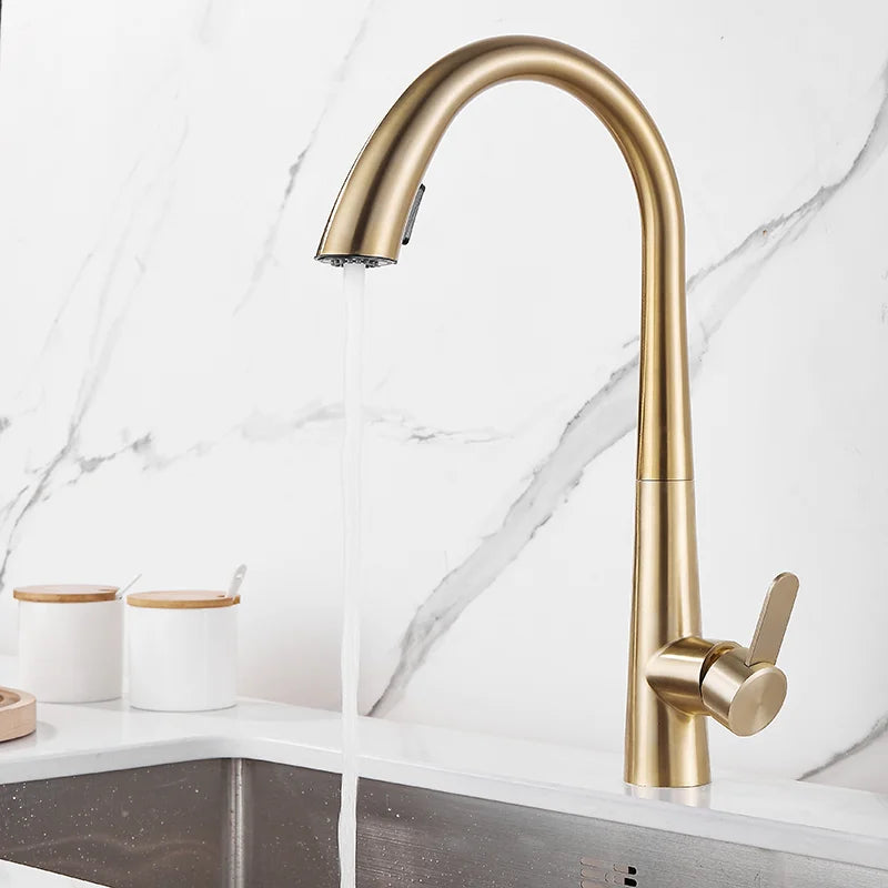 DecorBites™ Brushed Gold Kitchen Sink Faucet with Pull Out Spring Spout