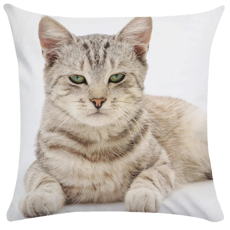 DecorBites™ Bubble Black Cats Cat Pillow Cases Sofa Home Decor Custom Cushion Cover