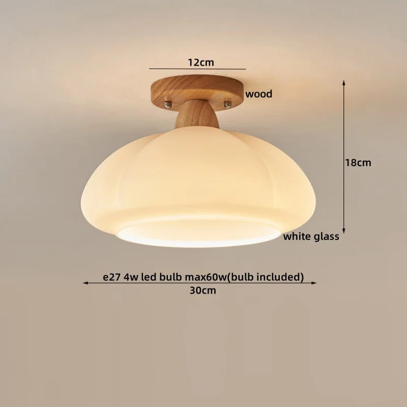 DecorBites™ LED Modern Ceiling Light for Living Room Balcony, Nordic Style Indoor Lighting Fixtures