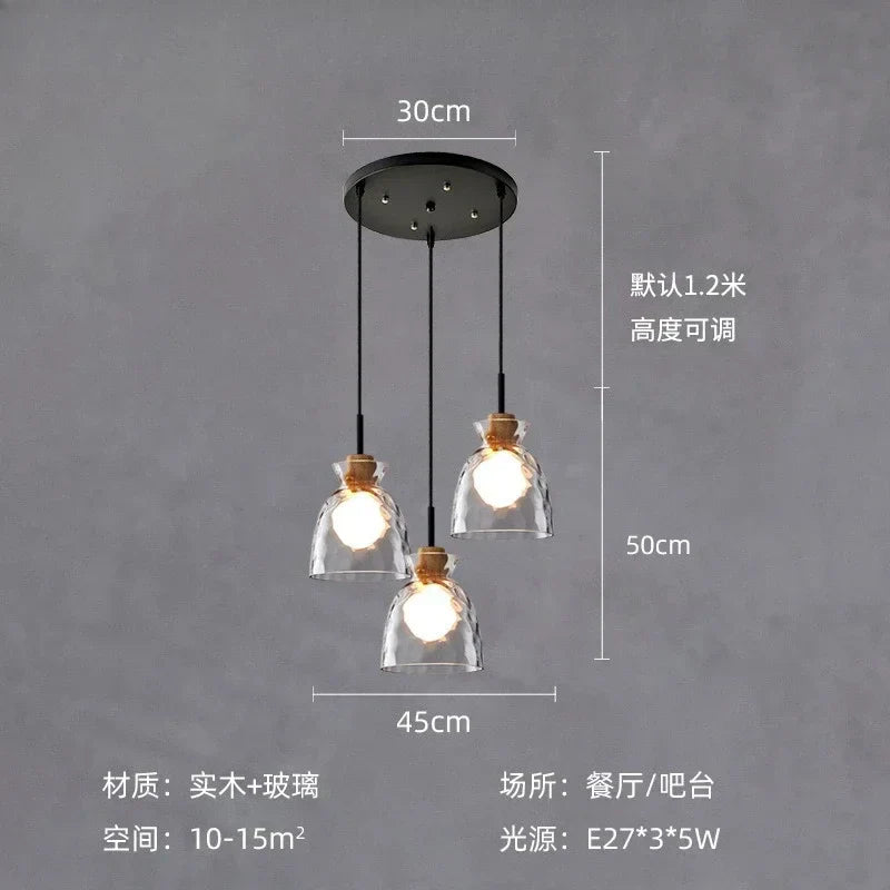 DecorBites™ Clear Glass Pendant Lamp with LED Lights for Home Decor
