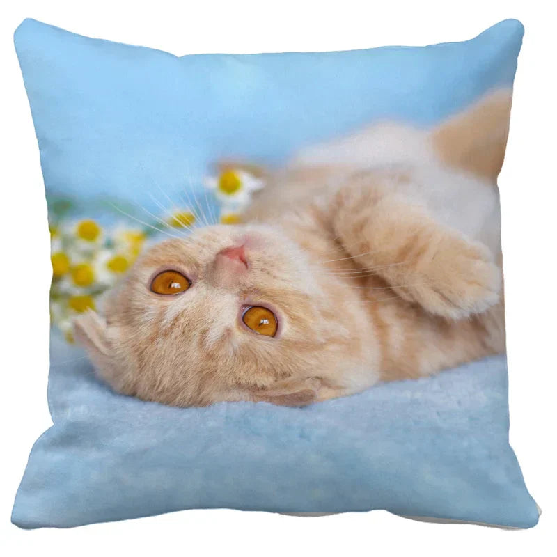 DecorBites™ Bubble Black Cats Cat Pillow Cases Sofa Home Decor Custom Cushion Cover