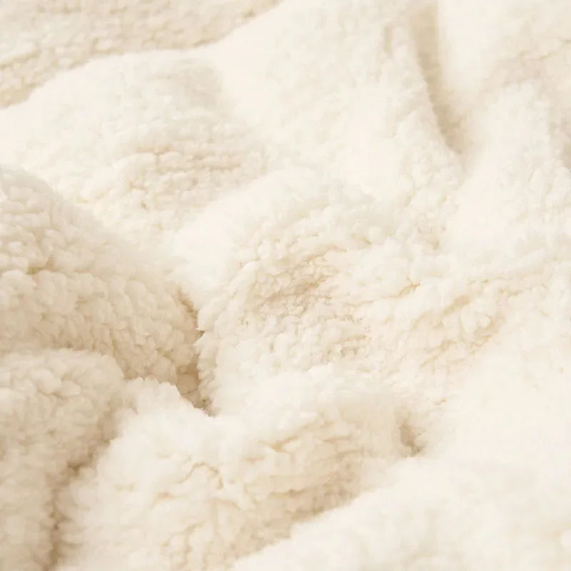DecorBites™ Double Layer Queen Blanket Super Soft Plush Warm Comfort for Autumn/Winter