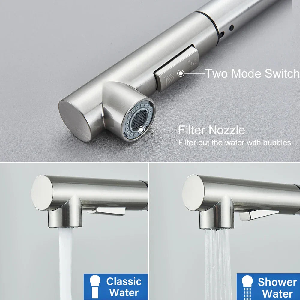DecorBites™ Brushed Nickel Kitchen Faucet with Dual Spray Nozzle