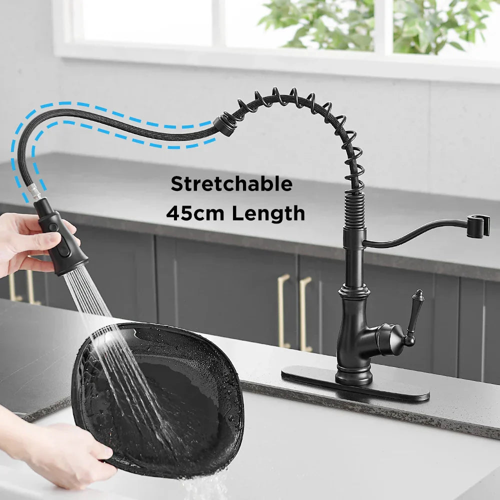 DecorBites™ Black Spring Spout Kitchen Faucet Single Lever Pull Out Mixer Tap