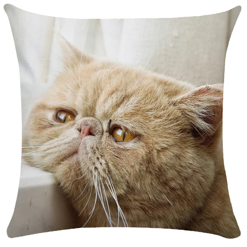 DecorBites™ Bubble Black Cats Cat Pillow Cases Sofa Home Decor Custom Cushion Cover
