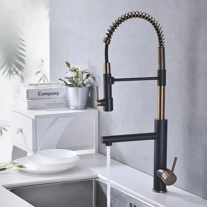 DecorBites™ Brushed Gold Kitchen Faucet with Pull Down Spring Spout for Hot Cold Water