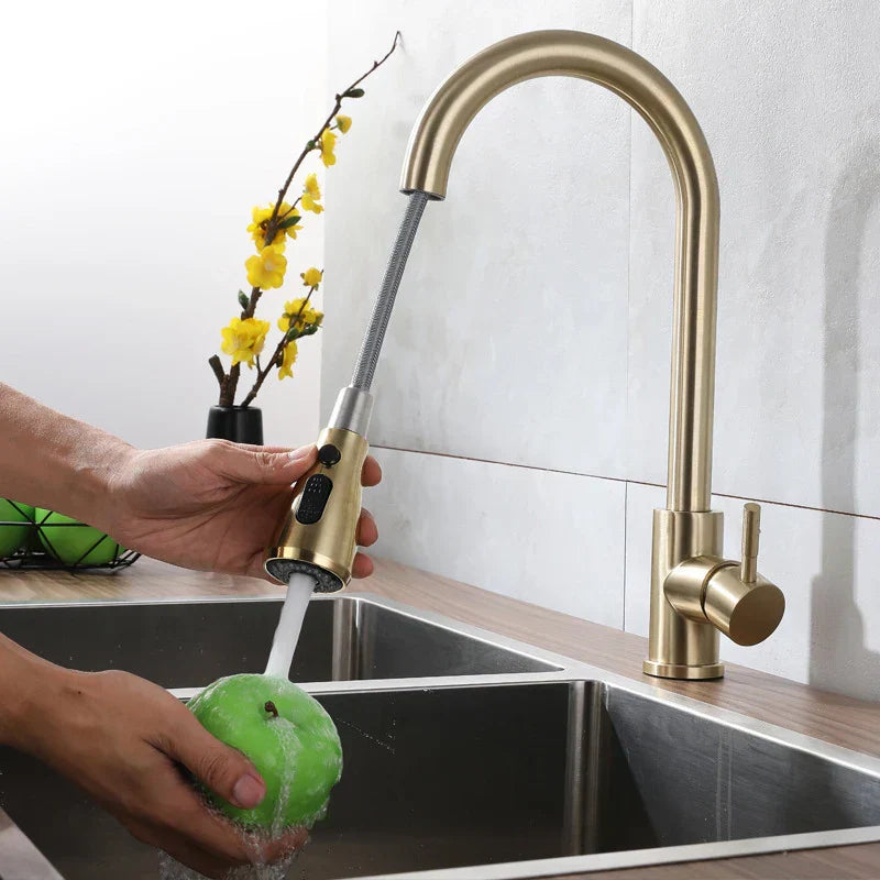 DecorBites™ Brushed Gold Single Handle Pull Out Kitchen Faucet