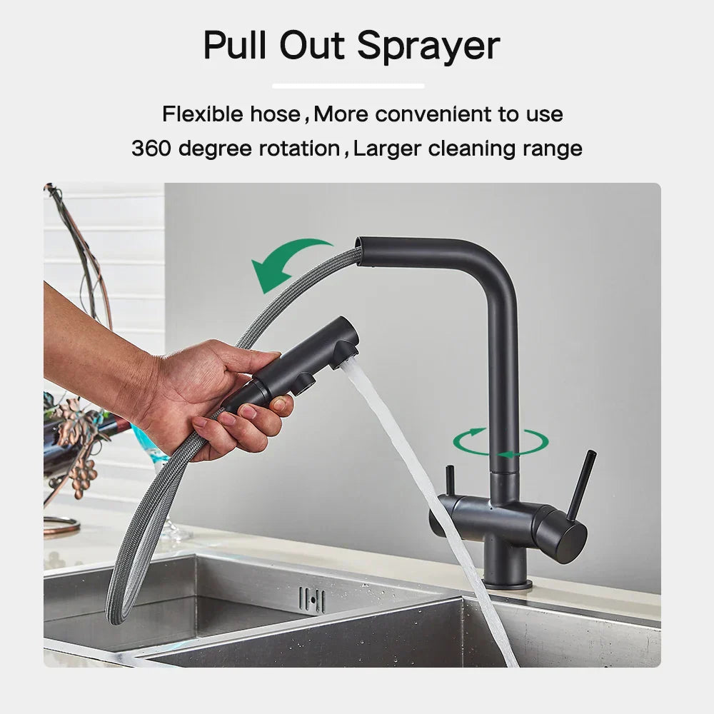 DecorBites™ Black Pull Out Water Purifier Faucet: 2-in-1 Hot Cold Mixer Tap