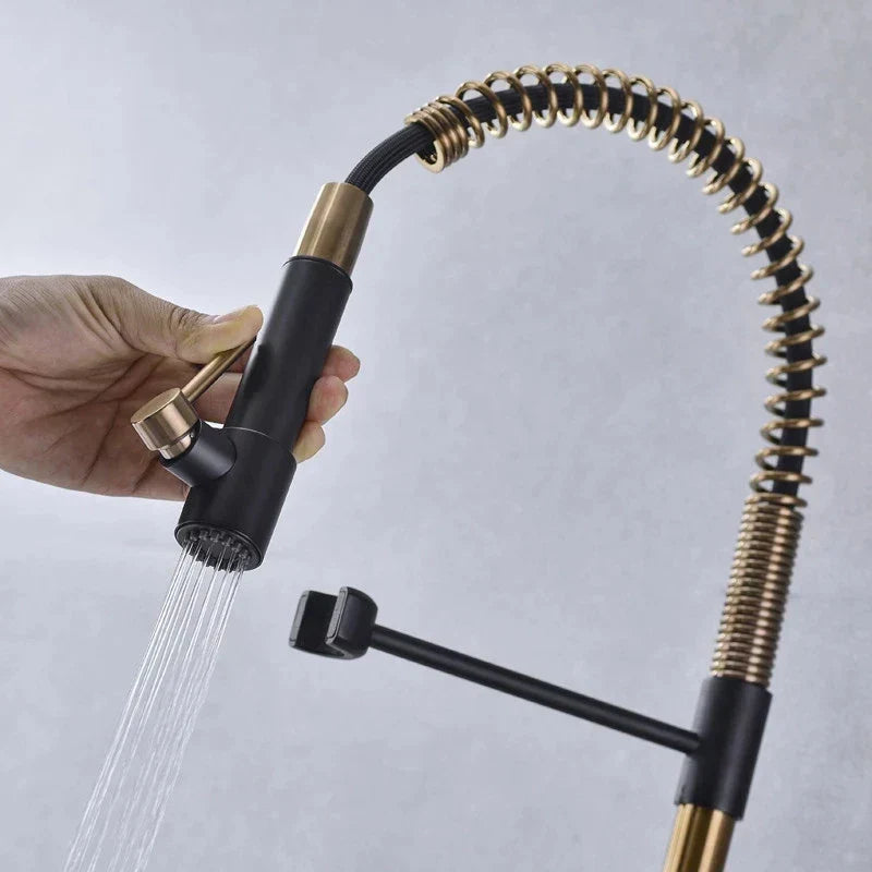 DecorBites™ Brushed Gold Kitchen Faucet with Pull Down Spring Spout for Hot Cold Water