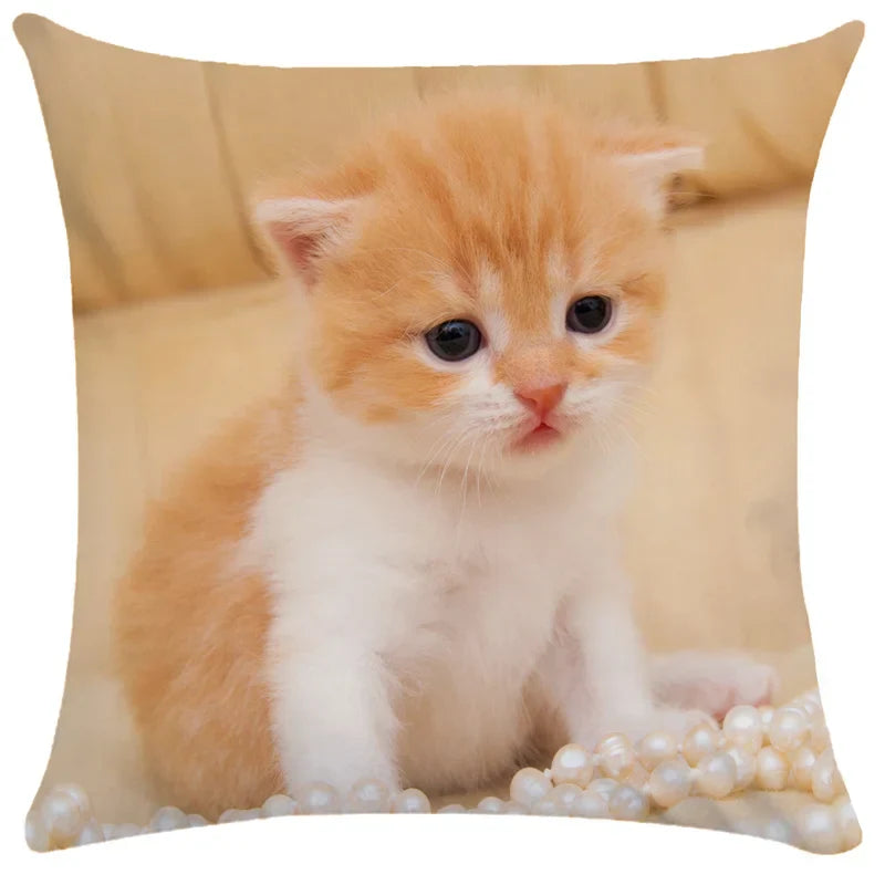 DecorBites™ Bubble Black Cats Cat Pillow Cases Sofa Home Decor Custom Cushion Cover