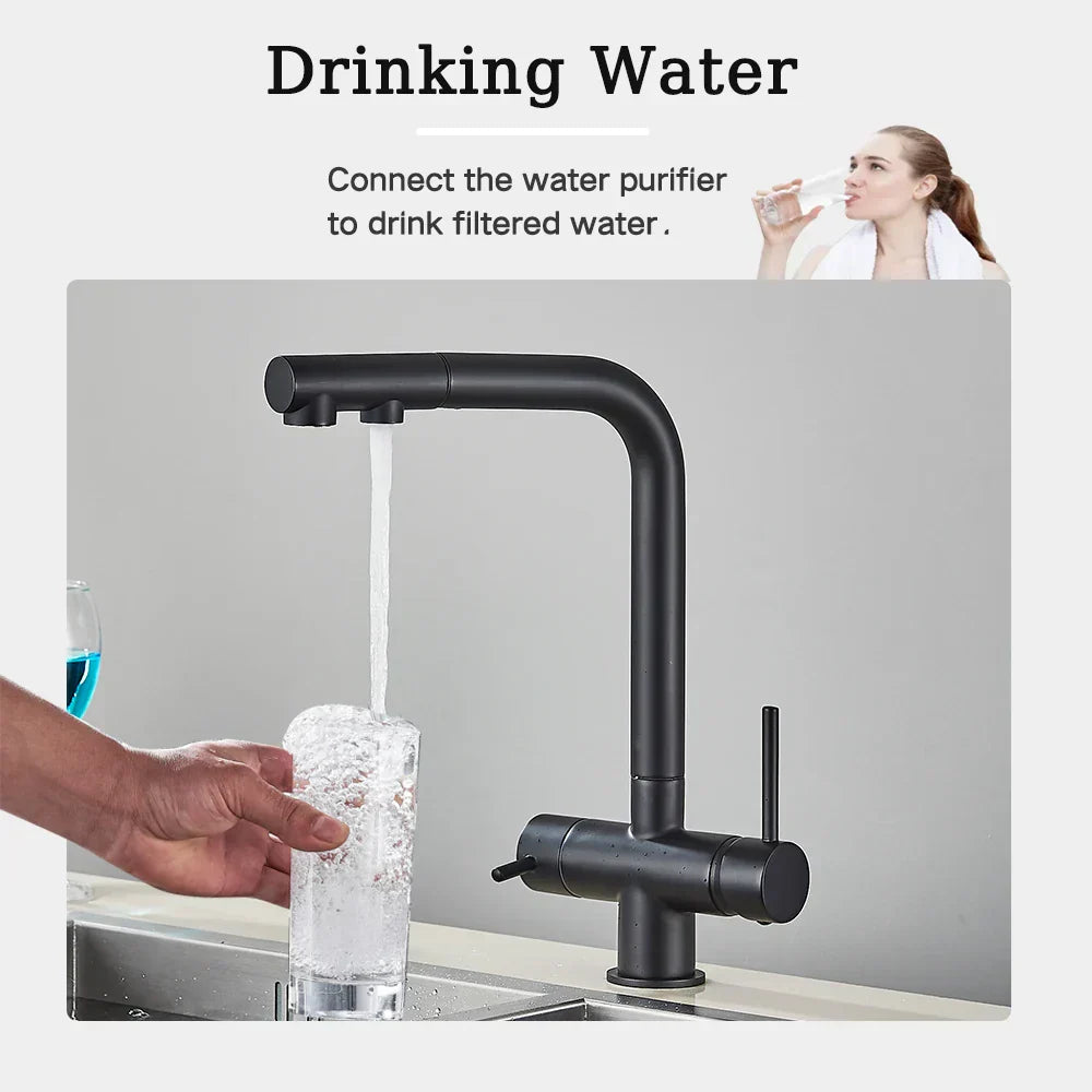 DecorBites™ Black Pull Out Water Purifier Faucet: 2-in-1 Hot Cold Mixer Tap