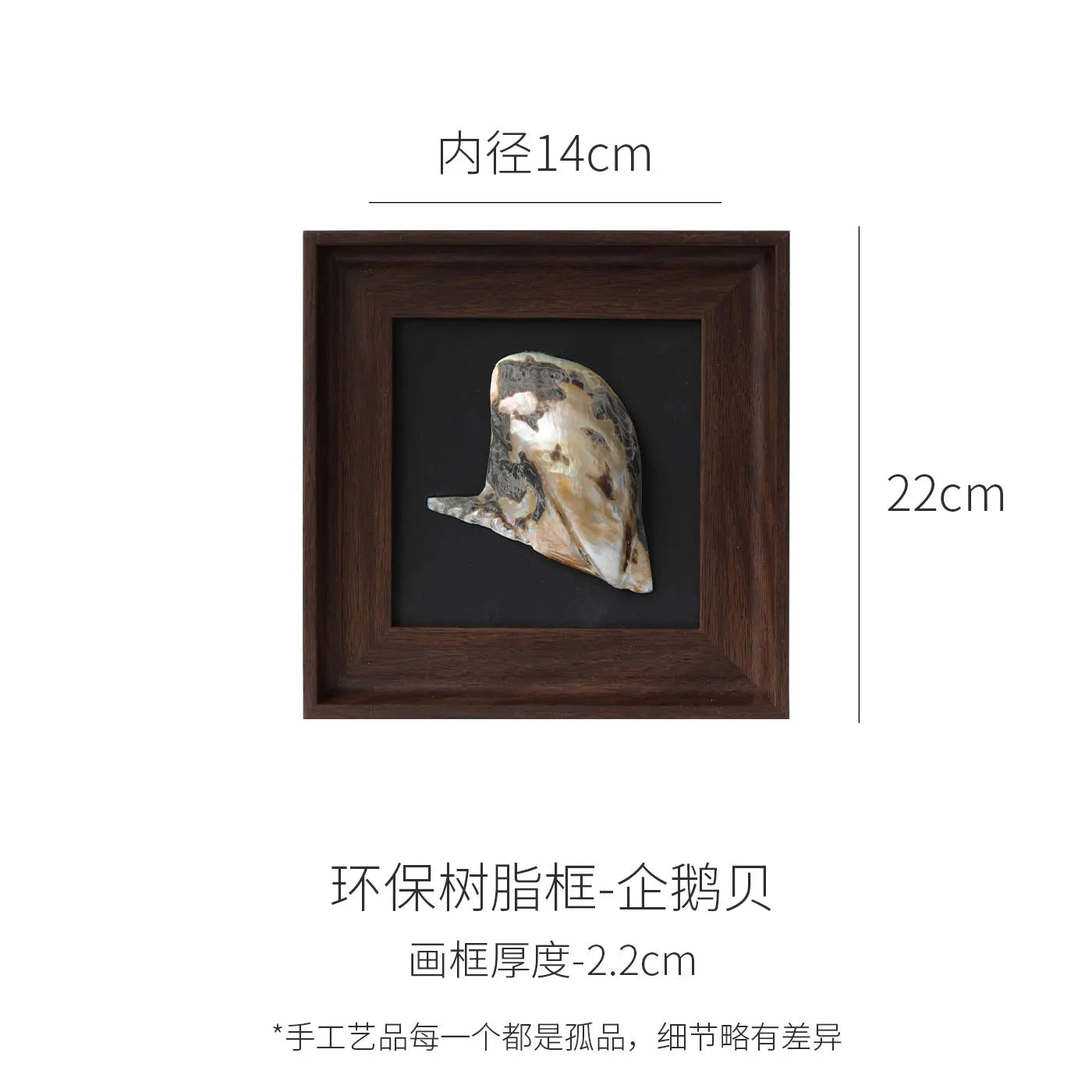 DecorBites™ Conch Shell Decorative Painting Frame Pendant Wall Ornaments