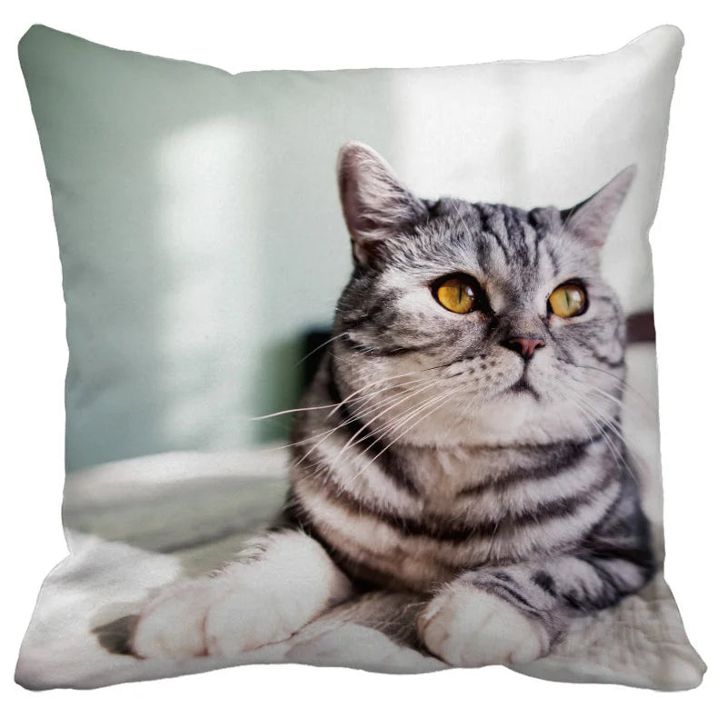 DecorBites™ Bubble Black Cats Cat Pillow Cases Sofa Home Decor Custom Cushion Cover