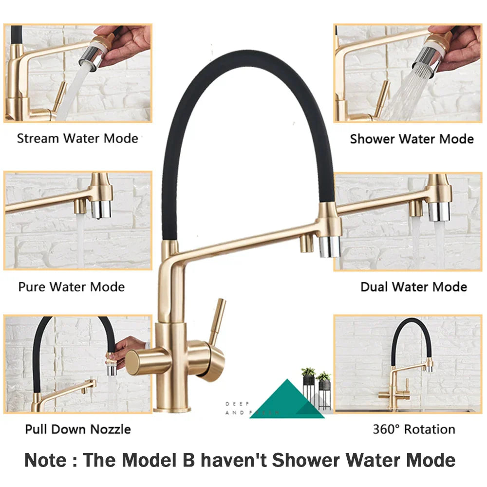 DecorBites™ Brushed Gold Swivel Kitchen Faucet with Purification Function