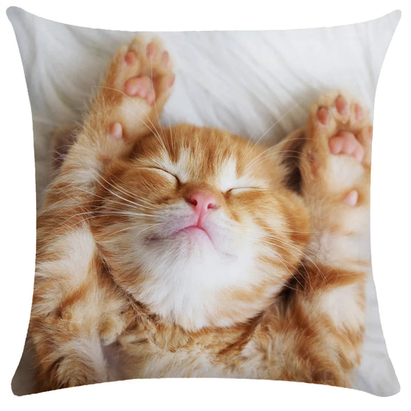DecorBites™ Bubble Black Cats Cat Pillow Cases Sofa Home Decor Custom Cushion Cover