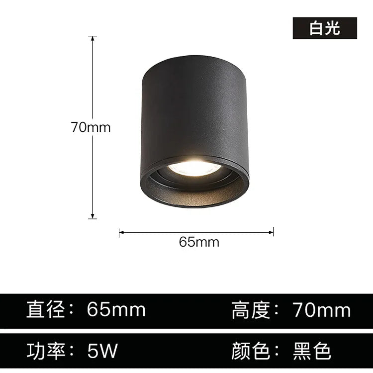 DecorBites™ Aluminum Ceiling Lamp: Cylindrical Surface Mounted Downlight with Adjustable Beam Angle