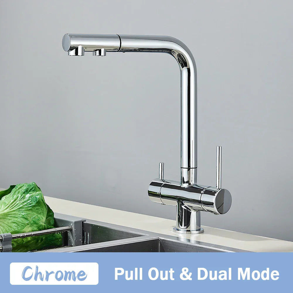 DecorBites™ Black Pull Out Water Purifier Faucet: 2-in-1 Hot Cold Mixer Tap