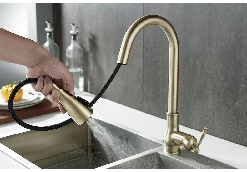 DecorBites™ Antique Bronze Pull Out Kitchen Faucet