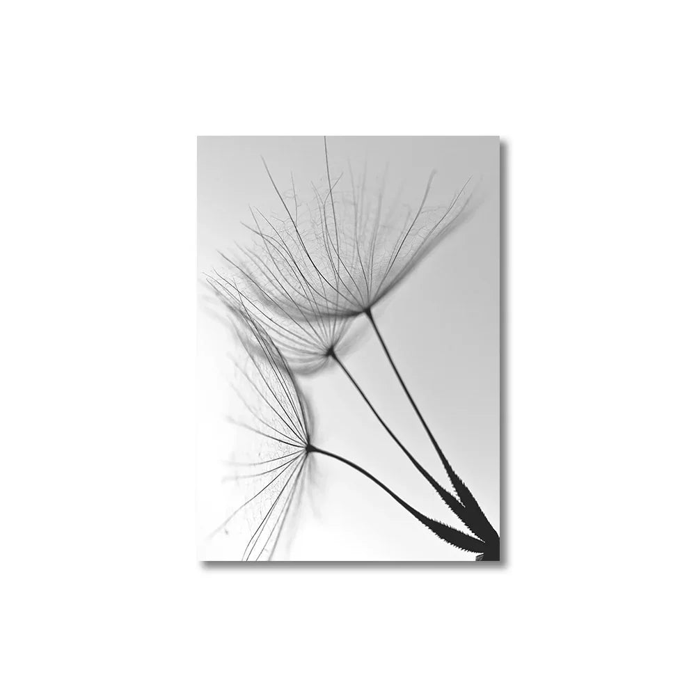 DecorBites™ Black and White Dandelion Canvas Wall Art