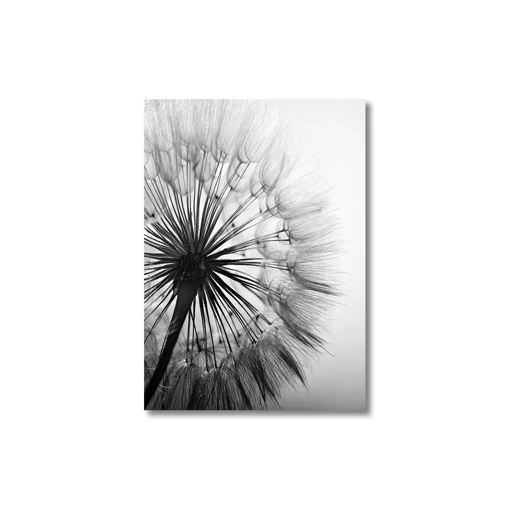 DecorBites™ Black and White Dandelion Canvas Wall Art
