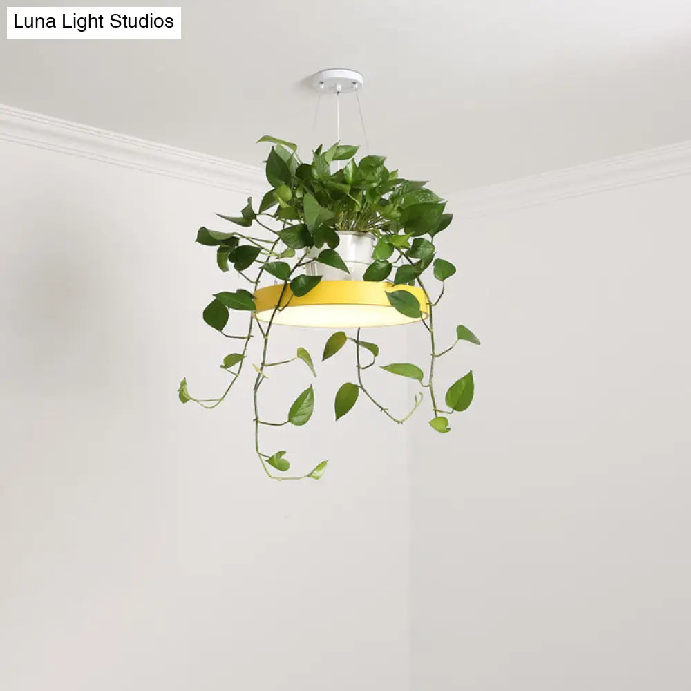 DecorBites™ Brooklyn - Round Macaron Round Hanging Light Acrylic LED Pendant Lighting Fixture in Black/Grey/White with Top Plant Pot