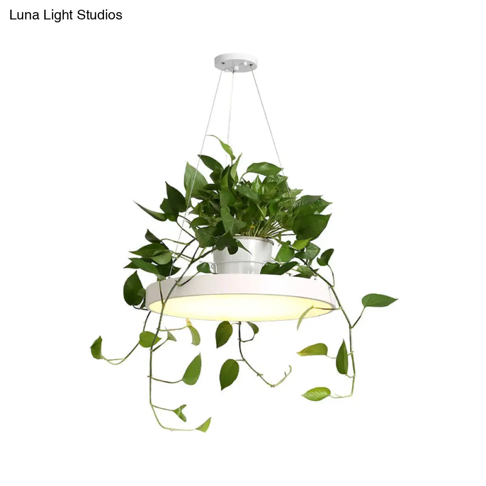 DecorBites™ Brooklyn - Round Macaron Round Hanging Light Acrylic LED Pendant Lighting Fixture in Black/Grey/White with Top Plant Pot