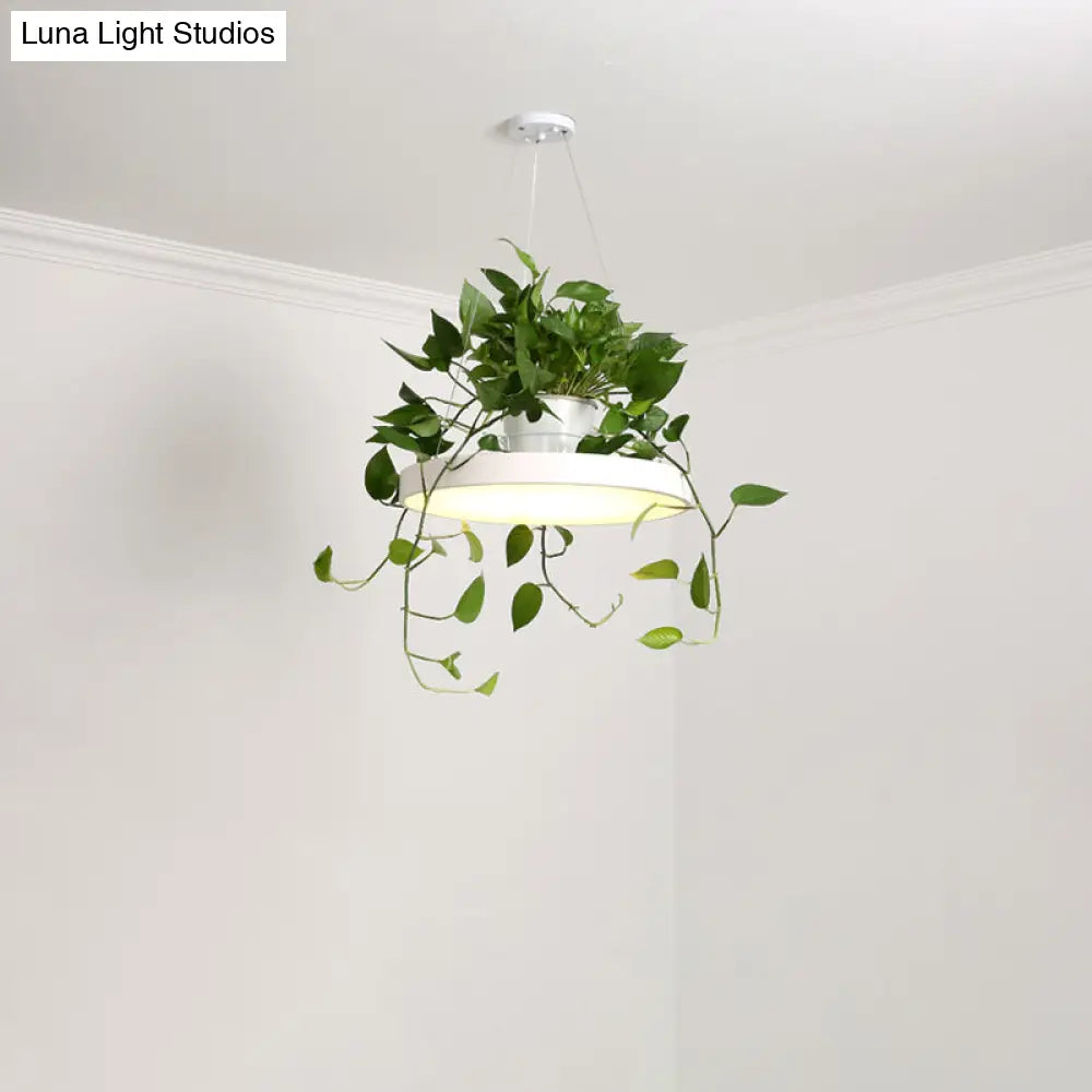 DecorBites™ Brooklyn - Round Macaron Round Hanging Light Acrylic LED Pendant Lighting Fixture in Black/Grey/White with Top Plant Pot