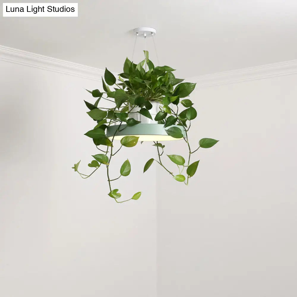 DecorBites™ Brooklyn - Round Macaron Round Hanging Light Acrylic LED Pendant Lighting Fixture in Black/Grey/White with Top Plant Pot