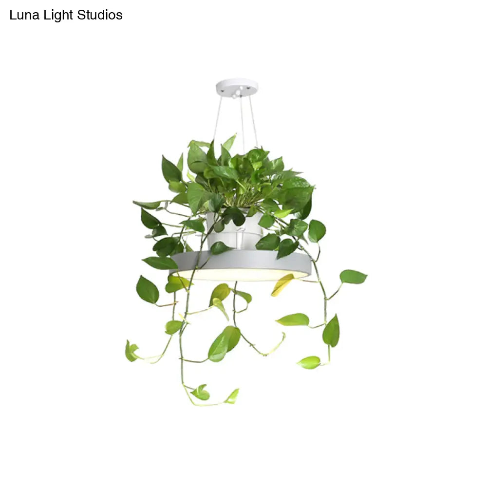 DecorBites™ Brooklyn - Round Macaron Round Hanging Light Acrylic LED Pendant Lighting Fixture in Black/Grey/White with Top Plant Pot