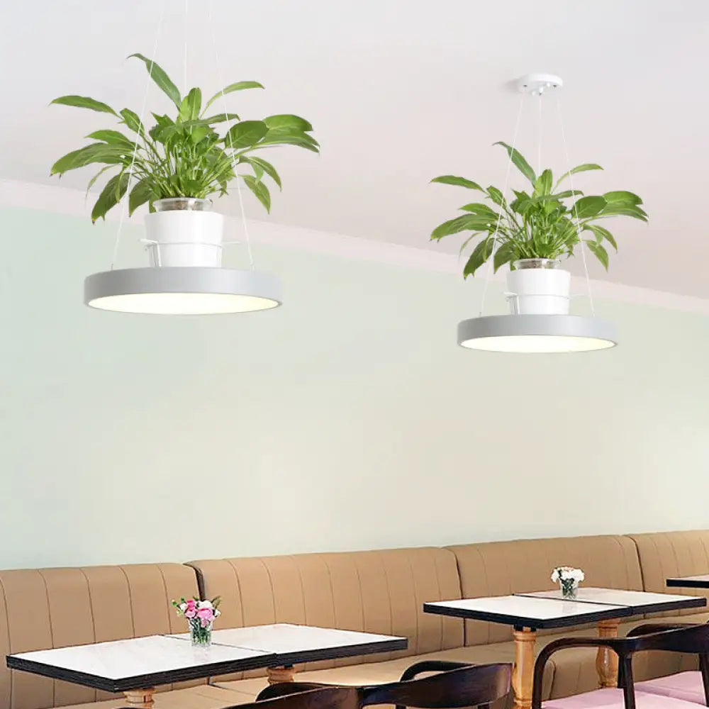 DecorBites™ Brooklyn - Round Macaron Round Hanging Light Acrylic LED Pendant Lighting Fixture in Black/Grey/White with Top Plant Pot