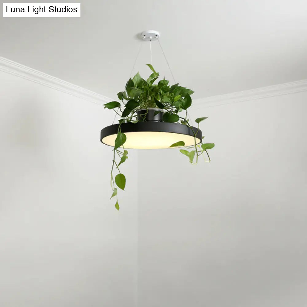 DecorBites™ Brooklyn - Round Macaron Round Hanging Light Acrylic LED Pendant Lighting Fixture in Black/Grey/White with Top Plant Pot