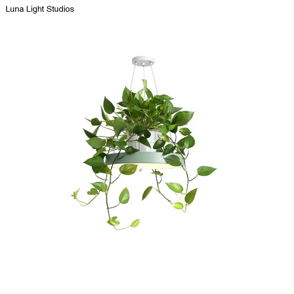 DecorBites™ Brooklyn - Round Macaron Round Hanging Light Acrylic LED Pendant Lighting Fixture in Black/Grey/White with Top Plant Pot