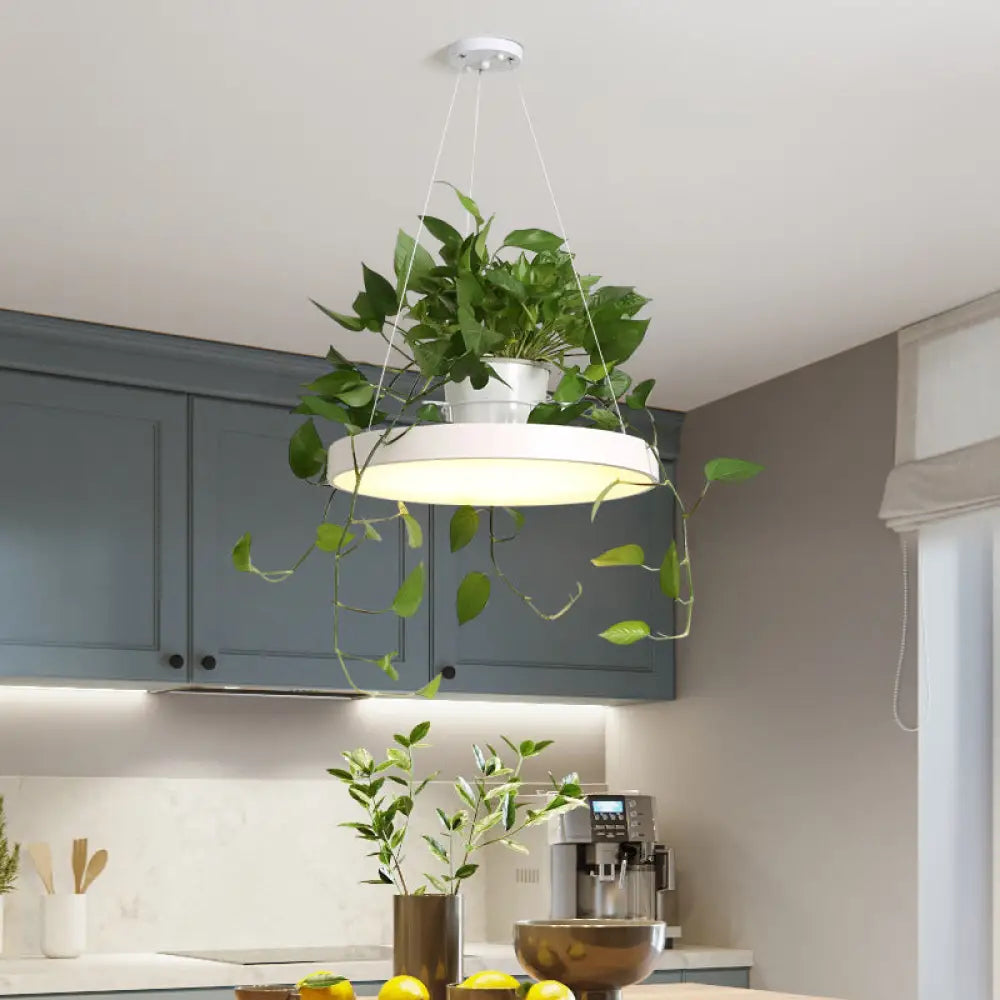 DecorBites™ Brooklyn - Round Macaron Round Hanging Light Acrylic LED Pendant Lighting Fixture in Black/Grey/White with Top Plant Pot