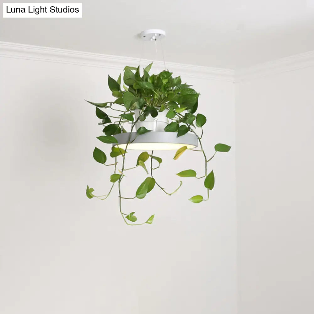 DecorBites™ Brooklyn - Round Macaron Round Hanging Light Acrylic LED Pendant Lighting Fixture in Black/Grey/White with Top Plant Pot