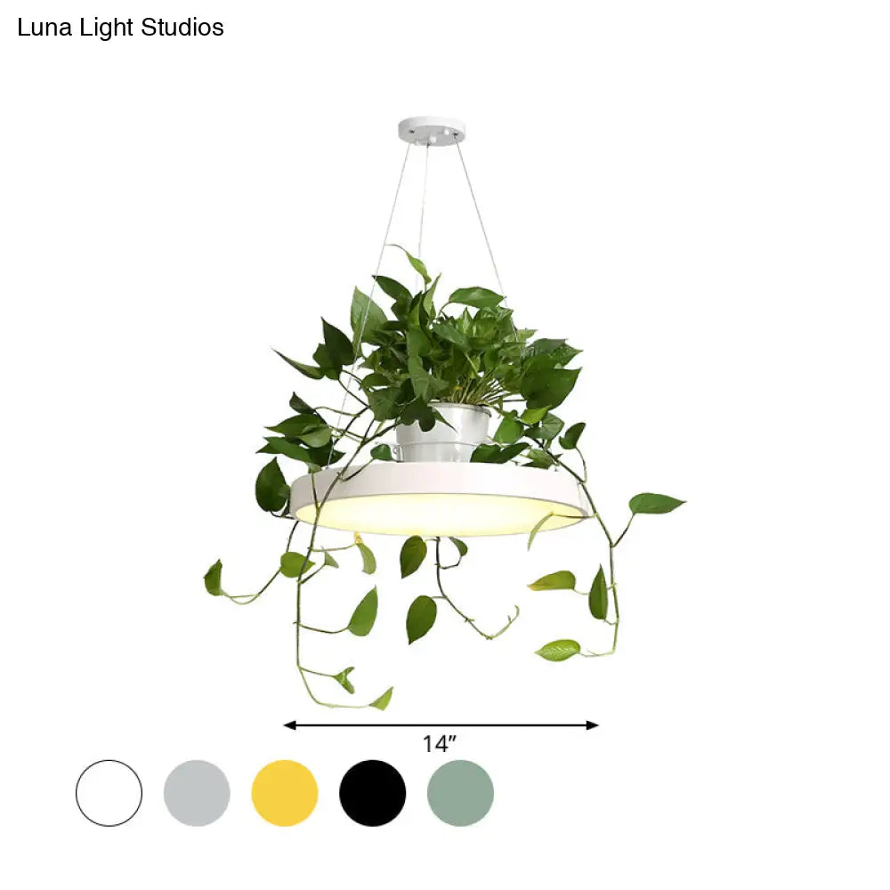 DecorBites™ Brooklyn - Round Macaron Round Hanging Light Acrylic LED Pendant Lighting Fixture in Black/Grey/White with Top Plant Pot