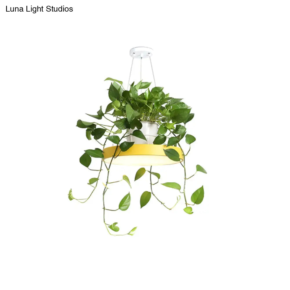 DecorBites™ Brooklyn - Round Macaron Round Hanging Light Acrylic LED Pendant Lighting Fixture in Black/Grey/White with Top Plant Pot
