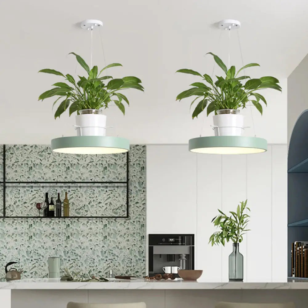 DecorBites™ Brooklyn - Round Macaron Round Hanging Light Acrylic LED Pendant Lighting Fixture in Black/Grey/White with Top Plant Pot
