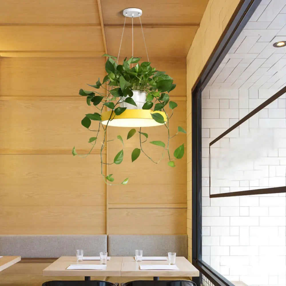DecorBites™ Brooklyn - Round Macaron Round Hanging Light Acrylic LED Pendant Lighting Fixture in Black/Grey/White with Top Plant Pot