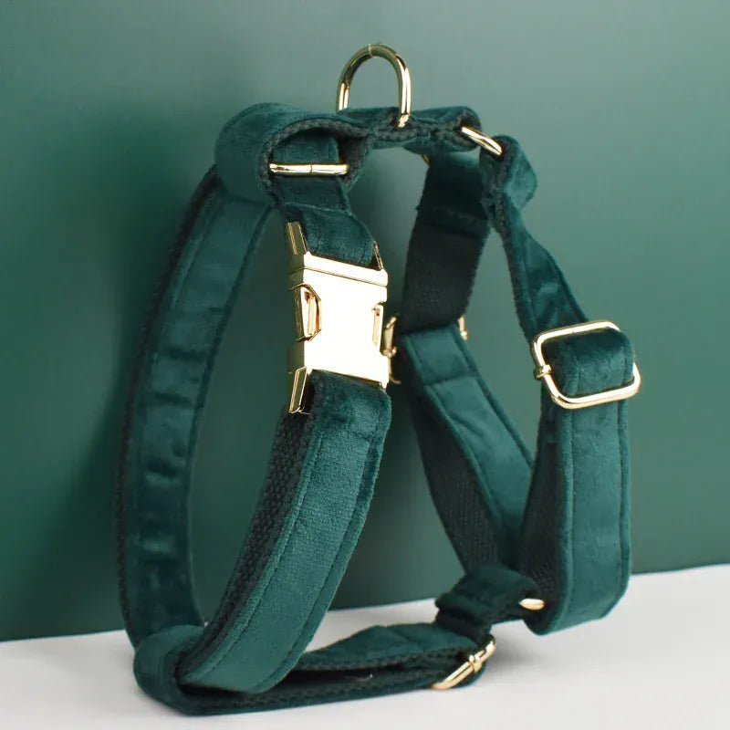 Green Velvet Set