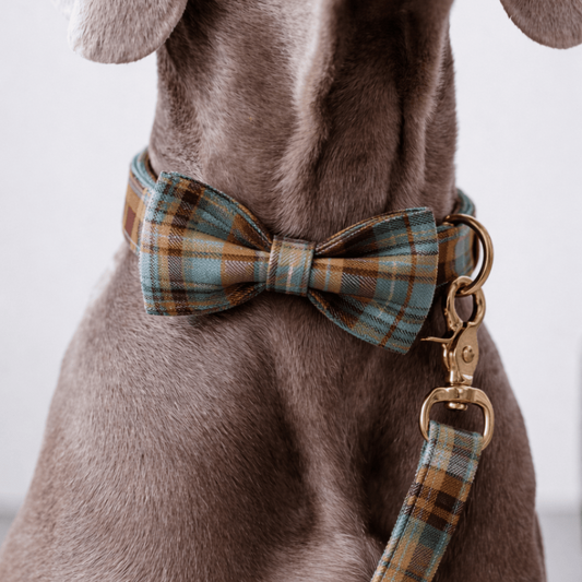Autumn Blue Plaid Set