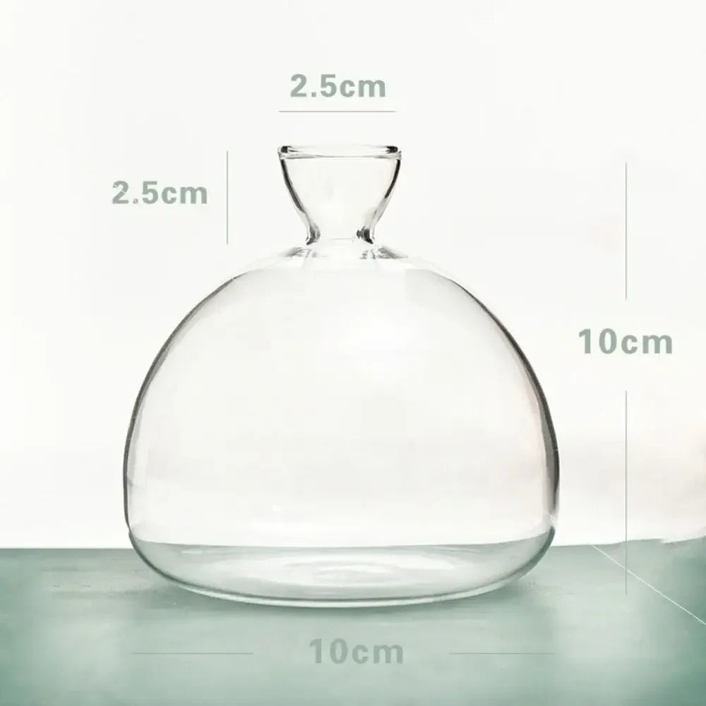 DecorBites™ Avocado Seed Starter Hydroponic Vase