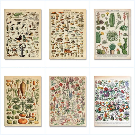 DecorBites™ Botanical Vintage Encyclopedia Prints Wall Art
