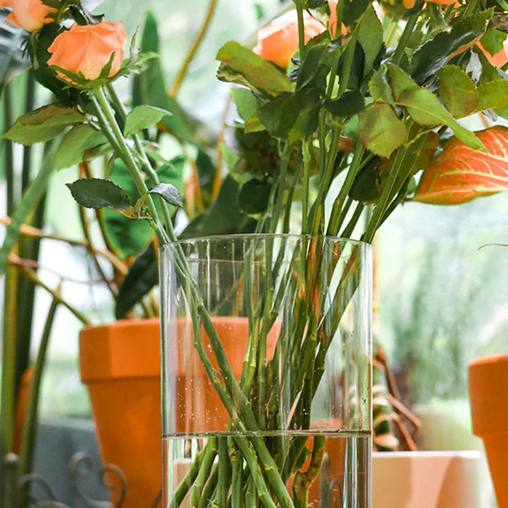 DecorBites™ Clear Acrylic Hurricane Flower Vase - Large Size