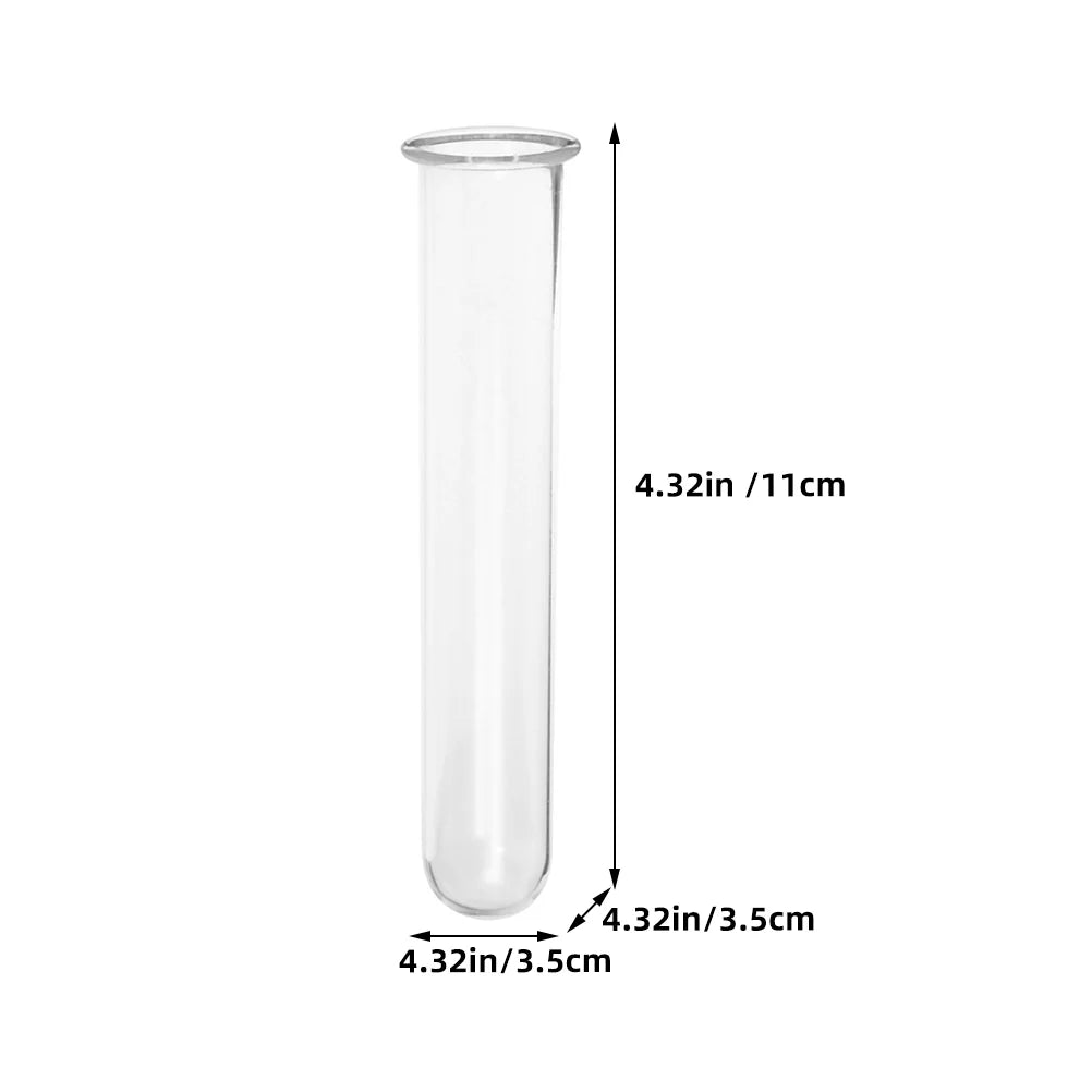 DecorBites™ Clear Glass Test Tube Vases for Plants