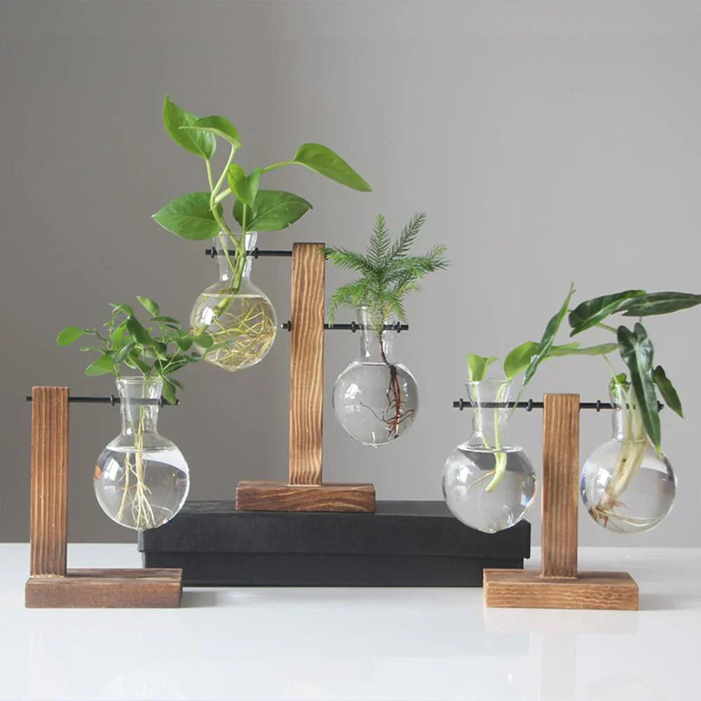 DecorBites™ Glass Bulb Vase with Wooden Stand