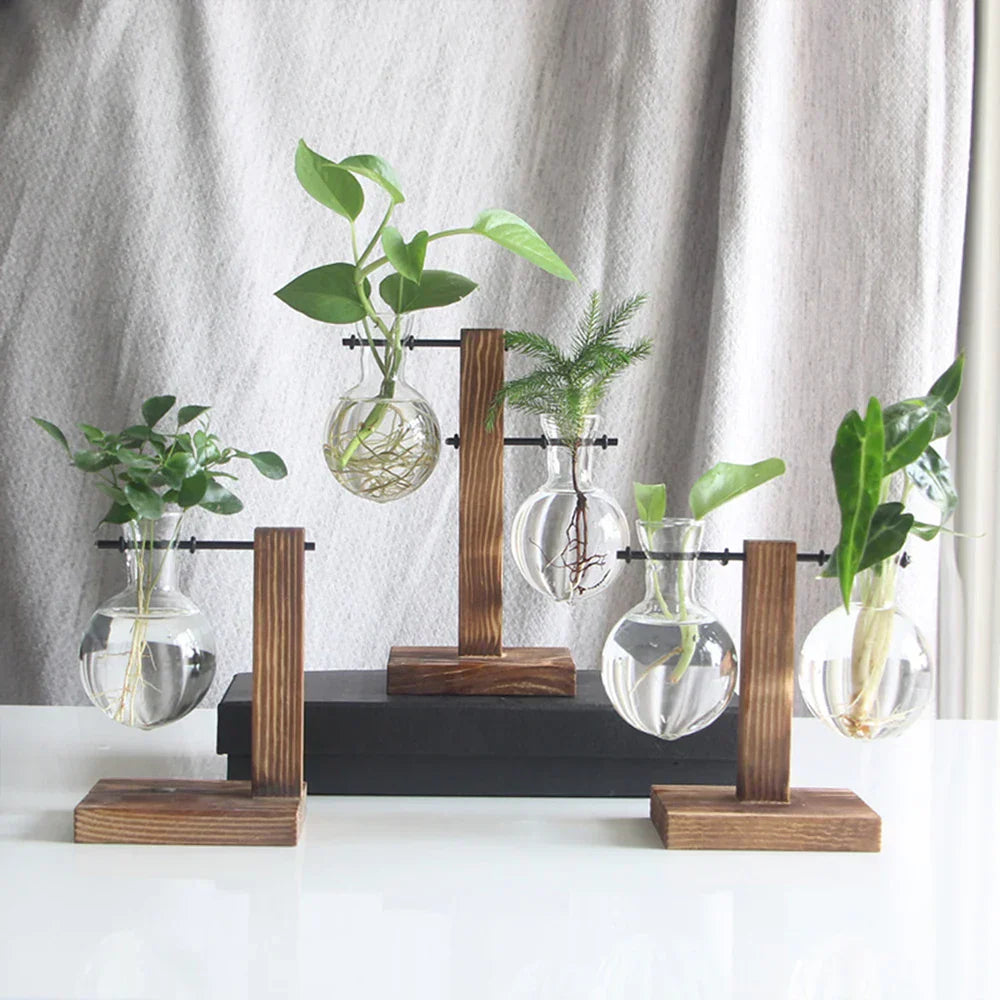 DecorBites™ Glass Bulb Vase with Wooden Stand