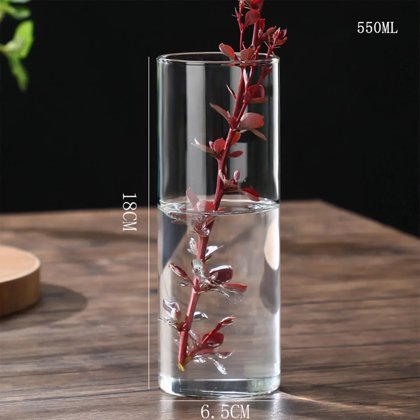 DecorBites™ Glass Hydroponic Desktop Planter Vase