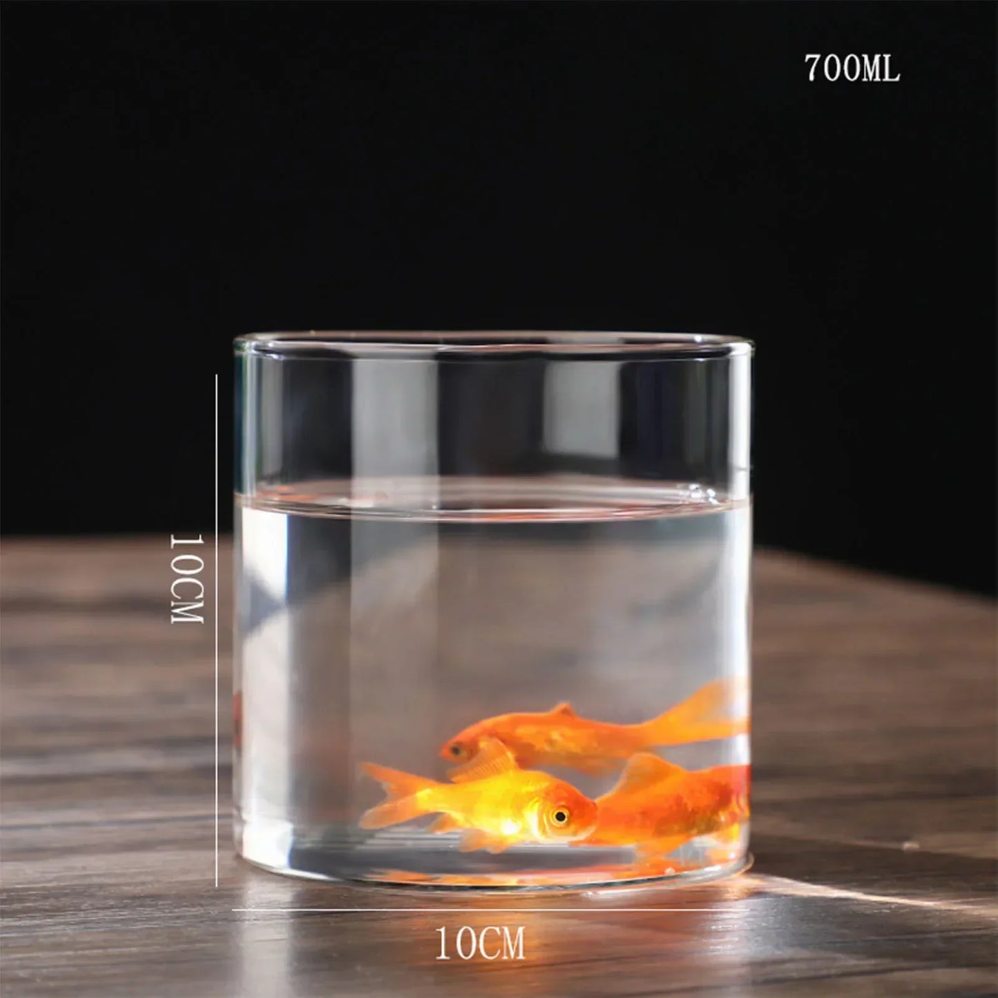 DecorBites™ Glass Hydroponic Desktop Planter Vase