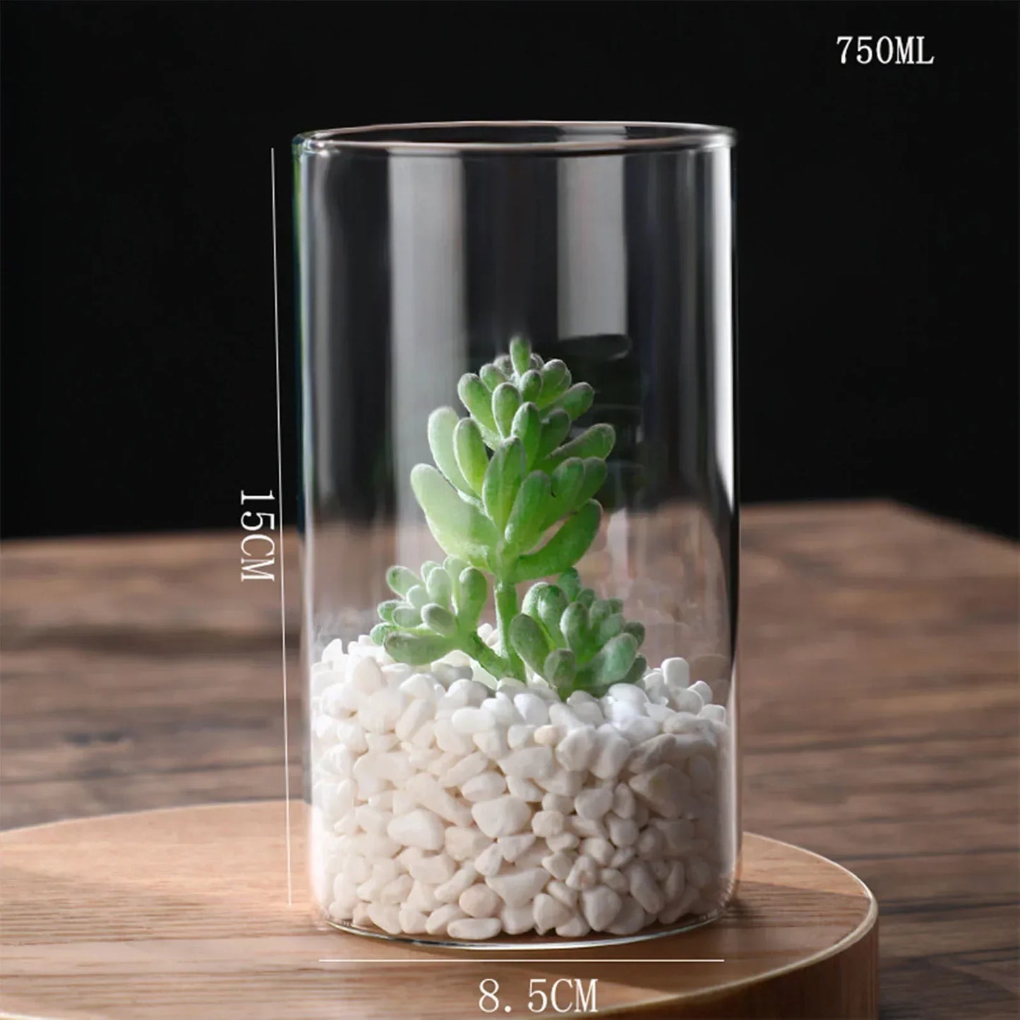 DecorBites™ Glass Hydroponic Desktop Planter Vase