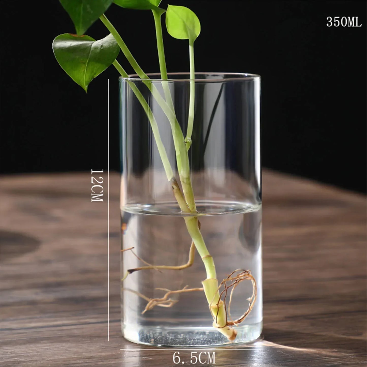 DecorBites™ Glass Hydroponic Desktop Planter Vase